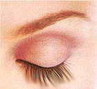 make0.jpg (8541 bytes)