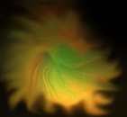 make10.jpg (6025 bytes)