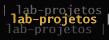 Lab-projetos