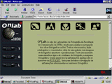 Web Site Onlab